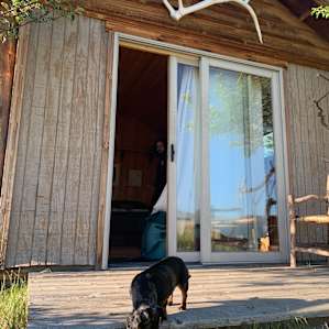 Dog friendly!