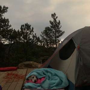 3-Acre Aspen Filled Campsite