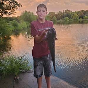 Big catfish caught in the lake