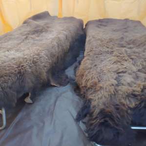Sweet dreams on super thick mats covered with soft buffalo hides.