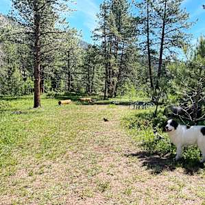 Rustic Creek Ranch - #9 Wild Rose