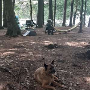 Camp Escape: Gilligan's Island