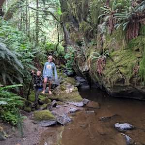 Creek hike