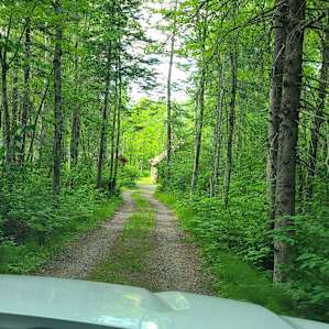 Chippewa Ridge Cabin -