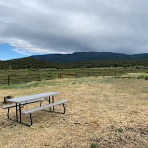 View from the site