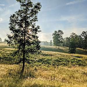 Walking the property at dawn.