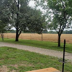 Lazy Days at Emerald Acres