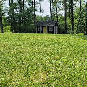 The Meadow View Cabin