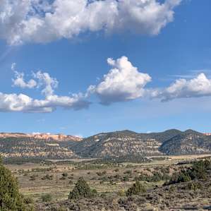 View from the picnic table