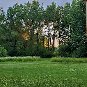The Meadow View Cabin