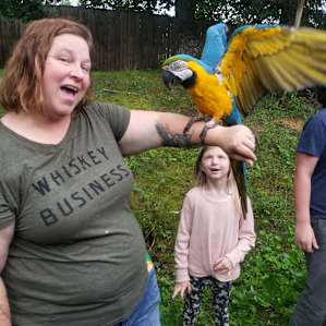 Corkey's Critter Camp
