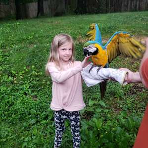 Corkey's Critter Camp