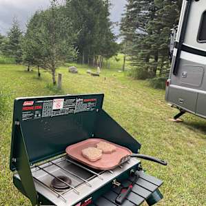 Cooking dinner surrounded by woods and sheep