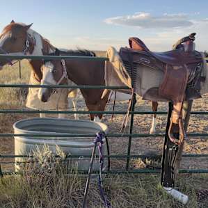 Our first experience with horseback riding!