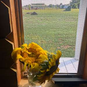 Lucky H&W Farm
