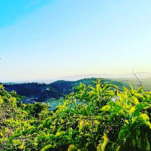 A Thousand Nights with a View