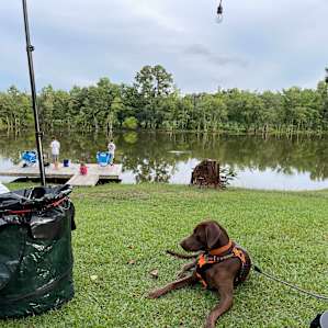 Bell Lakes Estate-RV/Motorhome
