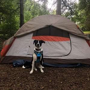 Goat Camp/primitive yet close to 75