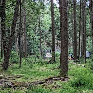 Little Birds Farm Campsite - Brook