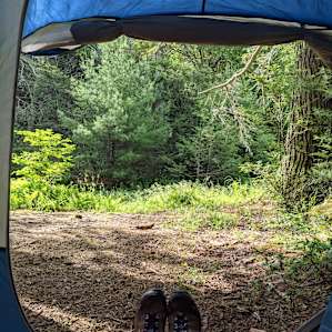 Little Birds Farm Campsite - Brook