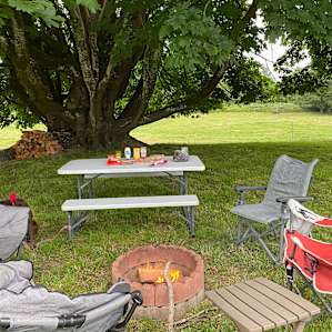 Diamond N Ranch , Big Tree campsite