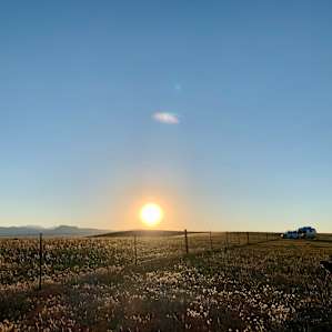 Antelope & Horse RV/Van/Tent Camp!