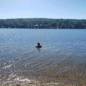 Swimming spot on Whaley Lake, along the Empire State Bike trail