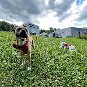 Horse Farm Camping