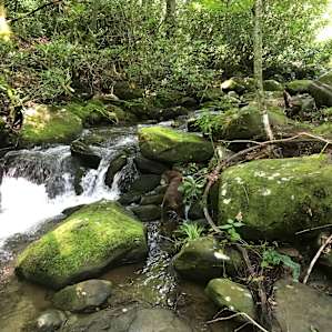 Heartstone at Mountain Creek Rest!