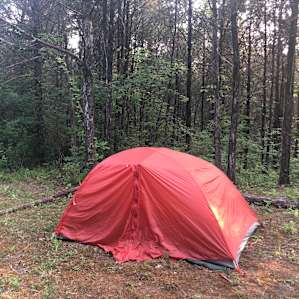 Secluded woods on the Bourbon Trail