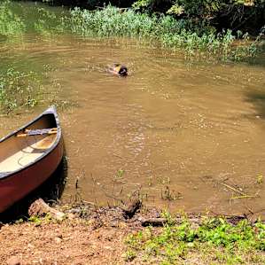 Yates Lake Tallassee Alabama