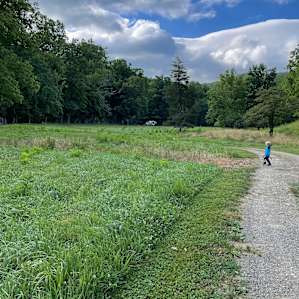 View of our campsite from the gate, lots of room for kids to run!