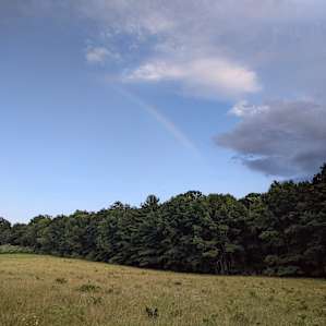 A rainbow came out after a storm.