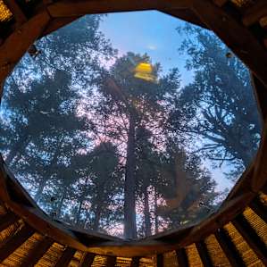 Butterfly Valley Yurt