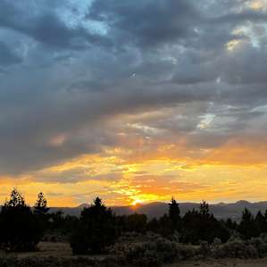 Cedar Circle site