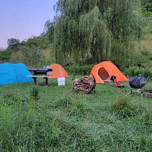 Willow Creek - camp with alpacas