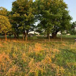Campsite pano