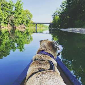 Ouachita River Primitive Camping
