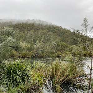 Black Mountain 4WD - Platypus Leap