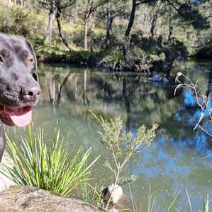 Blicks River Bush Camp 4WD