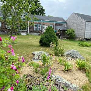 Beautiful, spacious yard for setting up a tent. Lovely bathroom, shower in the house.