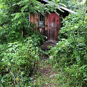 Hidden Cabin with Farm View