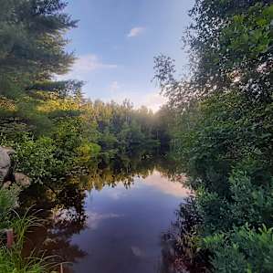 Nature Lake Forest Relax ’n Breathe