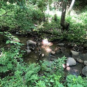 One of the places where you could hike along one of the trails.
