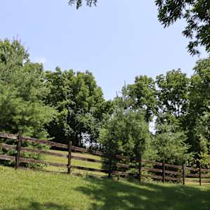 Another scenic place to explore!