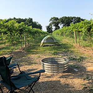 #1 - Hunt’s Hillside Vineyard-Foch
