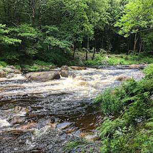Really flowing with all of the rain!