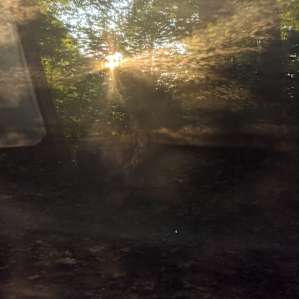 Morning light