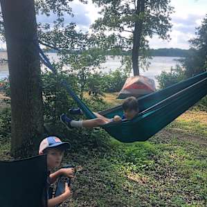 great trees for hammocks