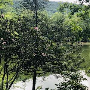 Pondside Confluence Campsites